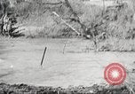 Standbild Elemente der US 6th Cavalry Division in Manövern am Fort Olgelthorpe Fort Oglethorpe Georgia USA, 1942, aus Sekunde 61 historischem Filmmaterial Videoclip 65675063110
