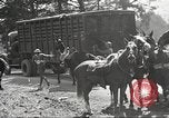 Standbild 1st Cavalry Division Fort Oglethorpe Georgia USA, 1942, aus Sekunde 49 historischem Filmmaterial Videoclip 65675063111