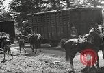 Standbild 1st Cavalry Division Fort Oglethorpe Georgia USA, 1942, aus Sekunde 50 historischem Filmmaterial Videoclip 65675063111