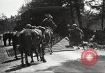 Standbild 1st Cavalry Division Fort Oglethorpe Georgia USA, 1942, aus Sekunde 61 historischem Filmmaterial Videoclip 65675063111