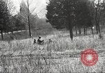 Standbild 1st Cavalry Division Fort Oglethorpe Georgia USA, 1942, aus Sekunde 38 historischem Filmmaterial Videoclip 65675063112