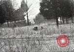 Standbild 1st Cavalry Division Fort Oglethorpe Georgia USA, 1942, aus Sekunde 48 historischem Filmmaterial Videoclip 65675063112