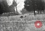 Standbild 1st Cavalry Division Fort Oglethorpe Georgia USA, 1942, aus Sekunde 49 historischem Filmmaterial Videoclip 65675063112
