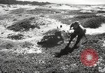 Standbild 1st Cavalry Division Atlantic Coast United States USA, 1942, aus Sekunde 58 historischem Filmmaterial Videoclip 65675063113