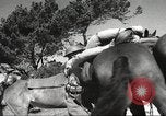Standbild 1st Cavalry Division United States USA, 1942, aus Sekunde 24 historischem Filmmaterial Videoclip 65675063114