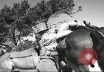 Standbild 1st Cavalry Division United States USA, 1942, aus Sekunde 26 historischem Filmmaterial Videoclip 65675063114
