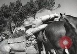 Standbild 1st Cavalry Division United States USA, 1942, aus Sekunde 27 historischem Filmmaterial Videoclip 65675063114