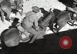 Standbild 1st Cavalry Division United States USA, 1942, aus Sekunde 41 historischem Filmmaterial Videoclip 65675063114