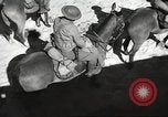 Standbild 1st Cavalry Division United States USA, 1942, aus Sekunde 42 historischem Filmmaterial Videoclip 65675063114