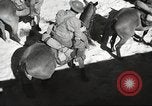 Standbild 1st Cavalry Division United States USA, 1942, aus Sekunde 43 historischem Filmmaterial Videoclip 65675063114