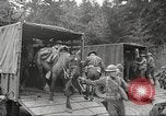 Standbild 1st Cavalry Division Salem Oregon USA, 1942, aus Sekunde 30 historischem Filmmaterial Videoclip 65675063115