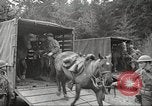 Standbild 1st Cavalry Division Salem Oregon USA, 1942, aus Sekunde 31 historischem Filmmaterial Videoclip 65675063115