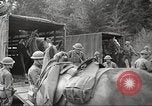 Standbild 1st Cavalry Division Salem Oregon USA, 1942, aus Sekunde 37 historischem Filmmaterial Videoclip 65675063115
