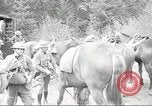 Standbild 1st Cavalry Division Salem Oregon USA, 1942, aus Sekunde 38 historischem Filmmaterial Videoclip 65675063115