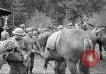 Standbild 1st Cavalry Division Salem Oregon USA, 1942, aus Sekunde 39 historischem Filmmaterial Videoclip 65675063115