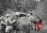 Standbild 1st Cavalry Division Salem Oregon USA, 1942, aus Sekunde 44 historischem Filmmaterial Videoclip 65675063115