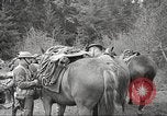 Standbild 1st Cavalry Division Salem Oregon USA, 1942, aus Sekunde 46 historischem Filmmaterial Videoclip 65675063115