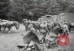Standbild 1st Cavalry Division Salem Oregon USA, 1942, aus Sekunde 49 historischem Filmmaterial Videoclip 65675063115