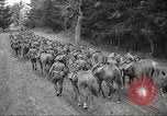 Standbild 1st Cavalry Division Salem Oregon USA, 1942, aus Sekunde 60 historischem Filmmaterial Videoclip 65675063115
