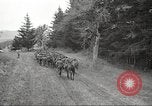 Standbild 1st Cavalry Division Salem Oregon USA, 1942, aus Sekunde 61 historischem Filmmaterial Videoclip 65675063115