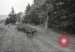Standbild 1st Cavalry Division Salem Oregon USA, 1942, aus Sekunde 62 historischem Filmmaterial Videoclip 65675063115