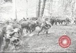 Standbild 1st Cavalry Division Salem Oregon USA, 1942, aus Sekunde 1 historischem Filmmaterial Videoclip 65675063116