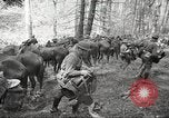 Standbild 1st Cavalry Division Salem Oregon USA, 1942, aus Sekunde 3 historischem Filmmaterial Videoclip 65675063116