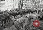 Standbild 1st Cavalry Division Salem Oregon USA, 1942, aus Sekunde 7 historischem Filmmaterial Videoclip 65675063116