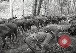 Standbild 1st Cavalry Division Salem Oregon USA, 1942, aus Sekunde 8 historischem Filmmaterial Videoclip 65675063116