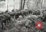 Standbild 1st Cavalry Division Salem Oregon USA, 1942, aus Sekunde 9 historischem Filmmaterial Videoclip 65675063116
