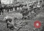 Standbild 1st Cavalry Division Salem Oregon USA, 1942, aus Sekunde 13 historischem Filmmaterial Videoclip 65675063116