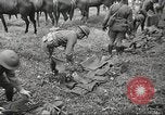 Standbild 1st Cavalry Division Salem Oregon USA, 1942, aus Sekunde 14 historischem Filmmaterial Videoclip 65675063116