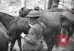 Standbild 1st Cavalry Division Salem Oregon USA, 1942, aus Sekunde 18 historischem Filmmaterial Videoclip 65675063116