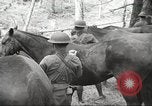 Standbild 1st Cavalry Division Salem Oregon USA, 1942, aus Sekunde 19 historischem Filmmaterial Videoclip 65675063116
