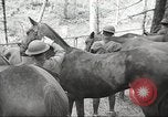 Standbild 1st Cavalry Division Salem Oregon USA, 1942, aus Sekunde 20 historischem Filmmaterial Videoclip 65675063116