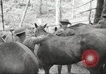 Standbild 1st Cavalry Division Salem Oregon USA, 1942, aus Sekunde 21 historischem Filmmaterial Videoclip 65675063116