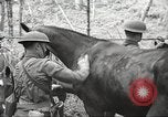 Standbild 1st Cavalry Division Salem Oregon USA, 1942, aus Sekunde 25 historischem Filmmaterial Videoclip 65675063116