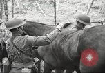 Standbild 1st Cavalry Division Salem Oregon USA, 1942, aus Sekunde 26 historischem Filmmaterial Videoclip 65675063116