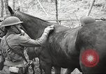 Standbild 1st Cavalry Division Salem Oregon USA, 1942, aus Sekunde 27 historischem Filmmaterial Videoclip 65675063116