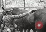 Standbild 1st Cavalry Division Salem Oregon USA, 1942, aus Sekunde 28 historischem Filmmaterial Videoclip 65675063116