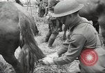 Standbild 1st Cavalry Division Salem Oregon USA, 1942, aus Sekunde 29 historischem Filmmaterial Videoclip 65675063116