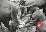 Standbild 1st Cavalry Division Salem Oregon USA, 1942, aus Sekunde 30 historischem Filmmaterial Videoclip 65675063116