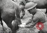 Standbild 1st Cavalry Division Salem Oregon USA, 1942, aus Sekunde 31 historischem Filmmaterial Videoclip 65675063116