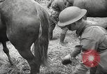 Standbild 1st Cavalry Division Salem Oregon USA, 1942, aus Sekunde 33 historischem Filmmaterial Videoclip 65675063116