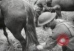 Standbild 1st Cavalry Division Salem Oregon USA, 1942, aus Sekunde 34 historischem Filmmaterial Videoclip 65675063116