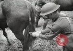 Standbild 1st Cavalry Division Salem Oregon USA, 1942, aus Sekunde 35 historischem Filmmaterial Videoclip 65675063116