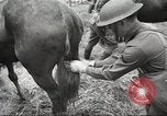 Standbild 1st Cavalry Division Salem Oregon USA, 1942, aus Sekunde 36 historischem Filmmaterial Videoclip 65675063116