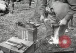 Standbild 1st Cavalry Division Salem Oregon USA, 1942, aus Sekunde 48 historischem Filmmaterial Videoclip 65675063116