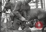 Standbild 1st Cavalry Division Salem Oregon USA, 1942, aus Sekunde 51 historischem Filmmaterial Videoclip 65675063116