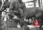 Standbild 1st Cavalry Division Salem Oregon USA, 1942, aus Sekunde 53 historischem Filmmaterial Videoclip 65675063116